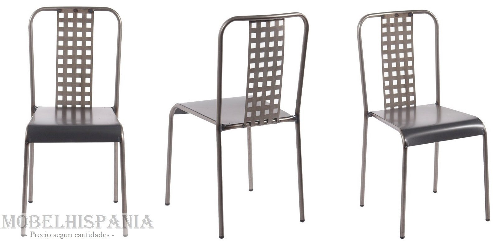 WISCONSIN regilla 01