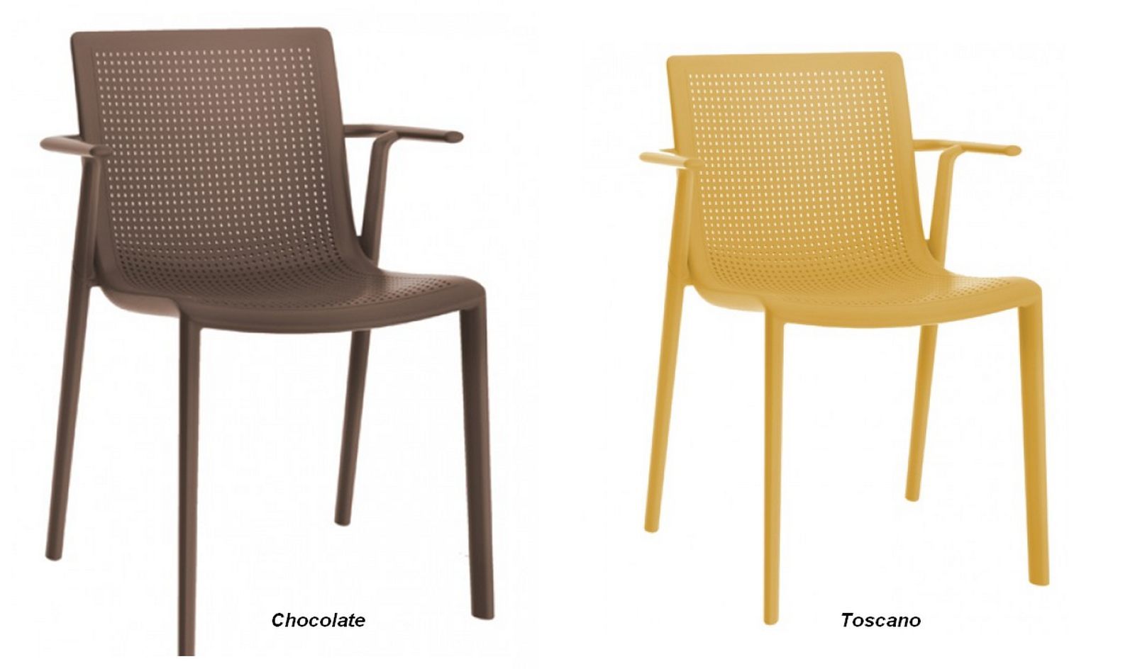 beekat_arena__03-2 beekat arena 03 2