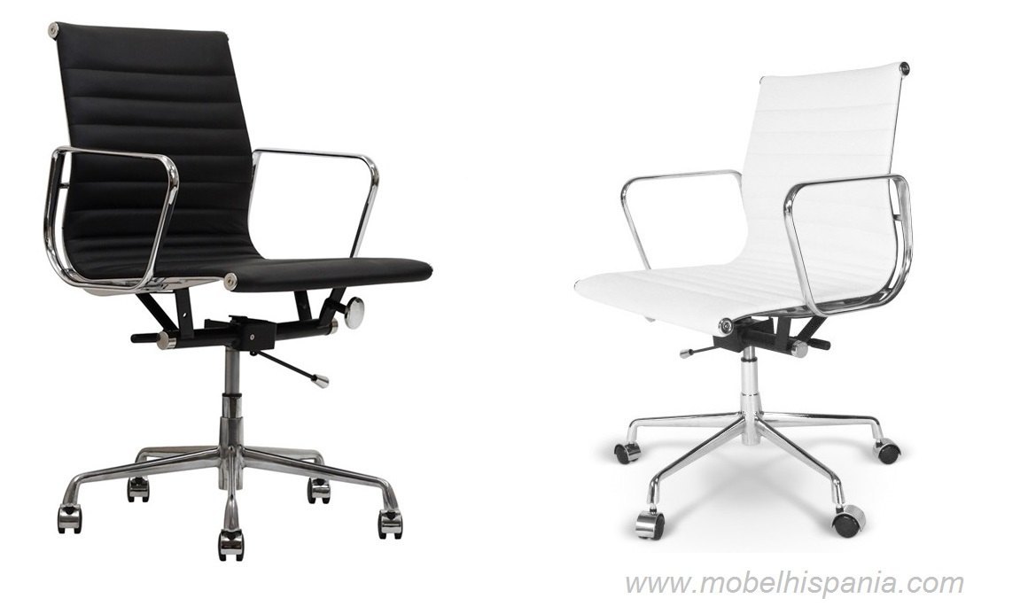 philip sillon direccion respaldo medo 04