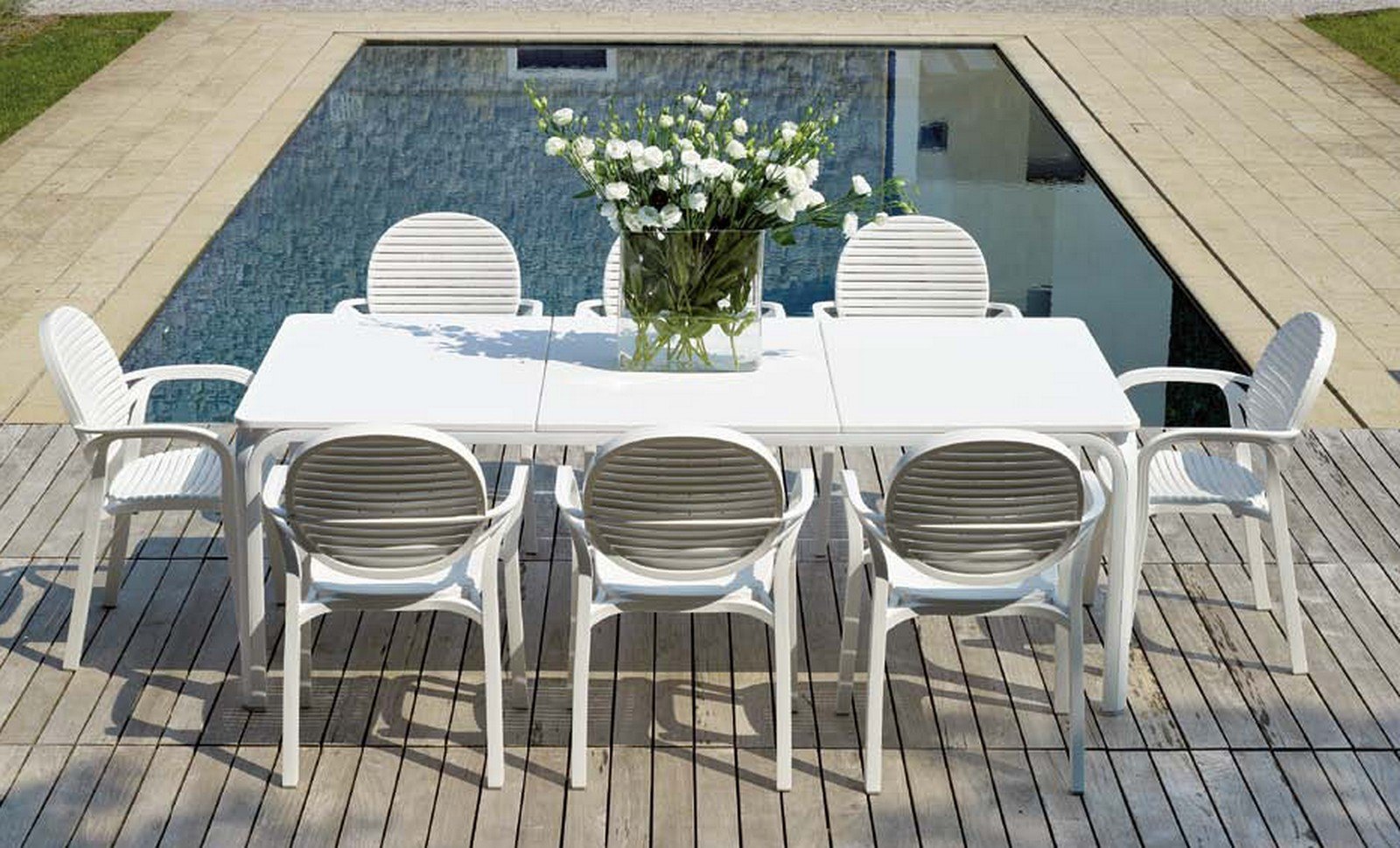 gardenia marron 08 1