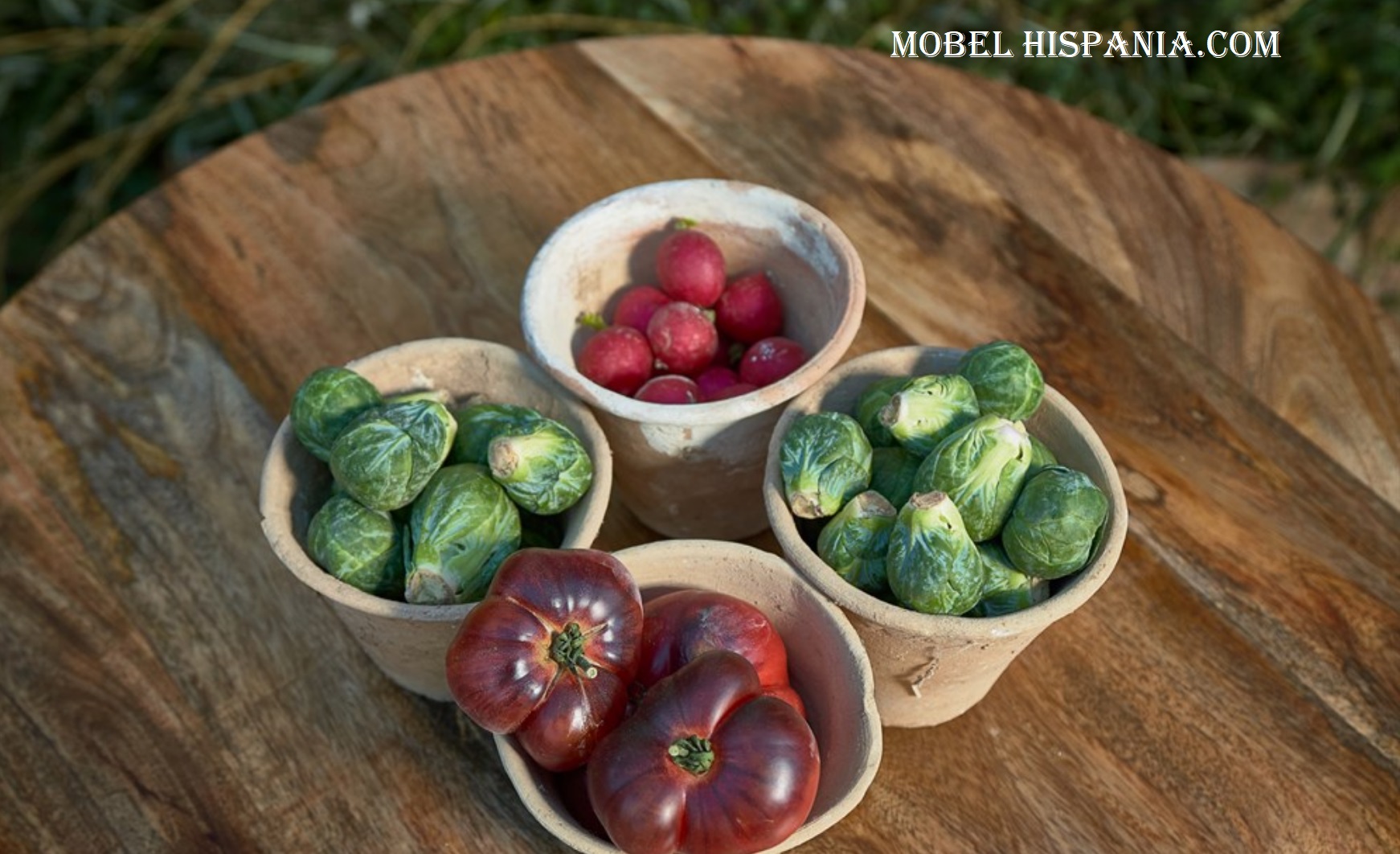 DELHI-tapa-mango_04 DELHI tapa mango 04