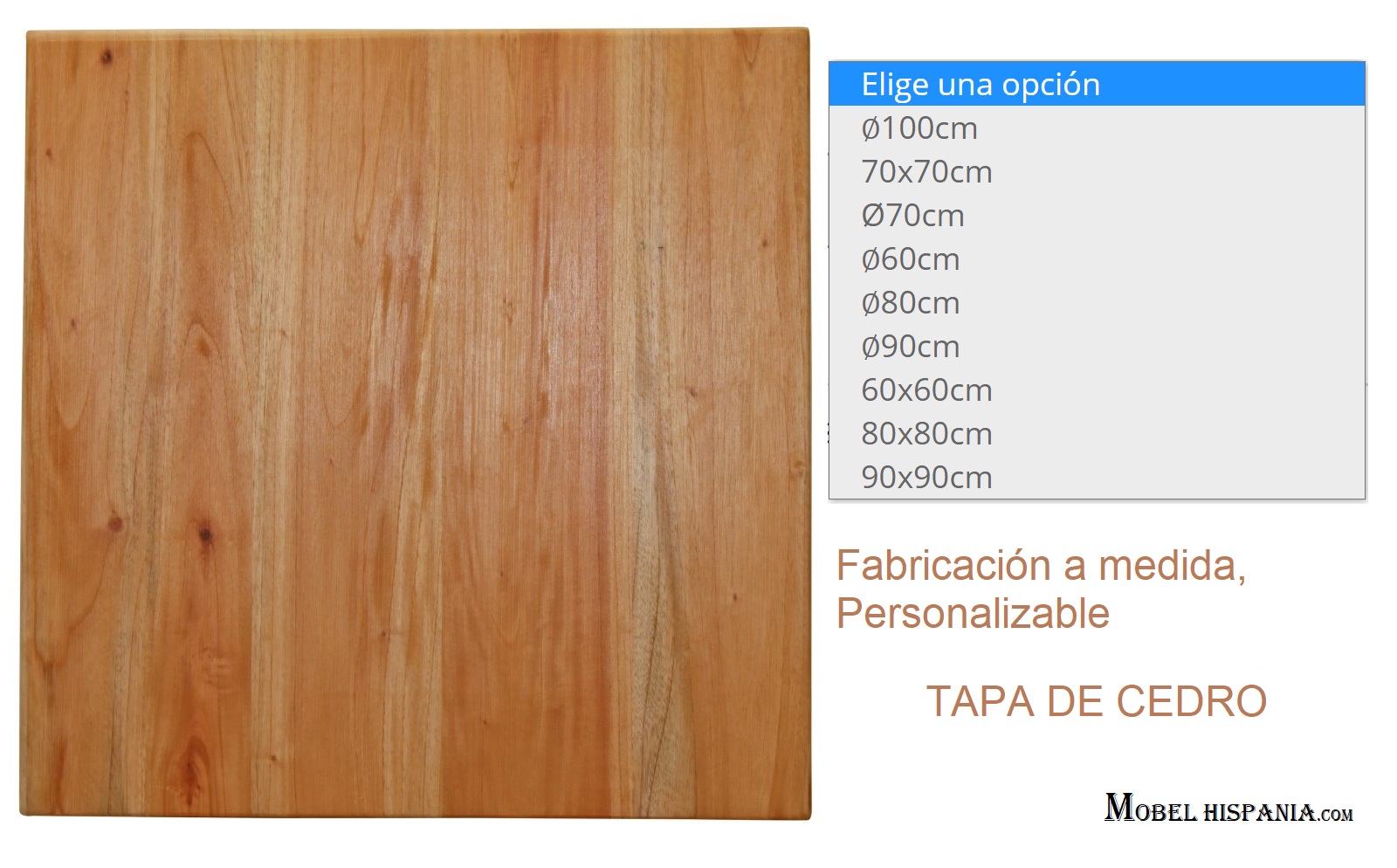 CEDRO Tapa madera 01
