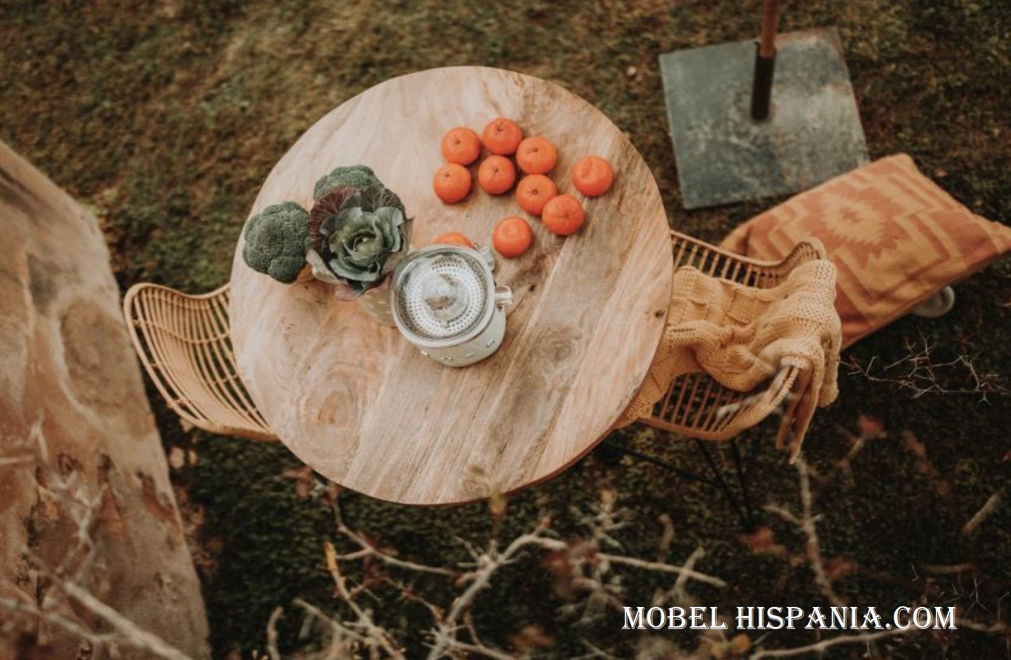 DELHI-tapa-mango_03 DELHI tapa mango 03