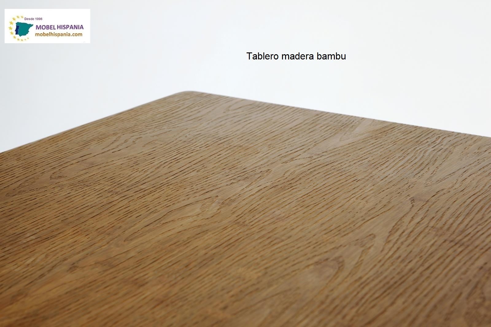 JOLDIN mesa redonda 04