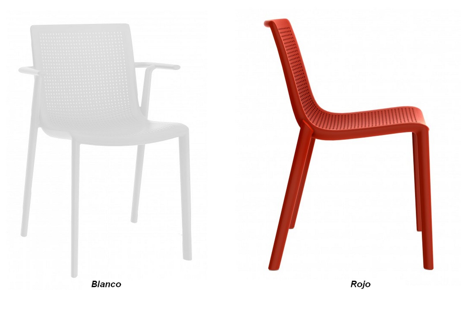 beekat_arena__04-2 beekat arena 04 2