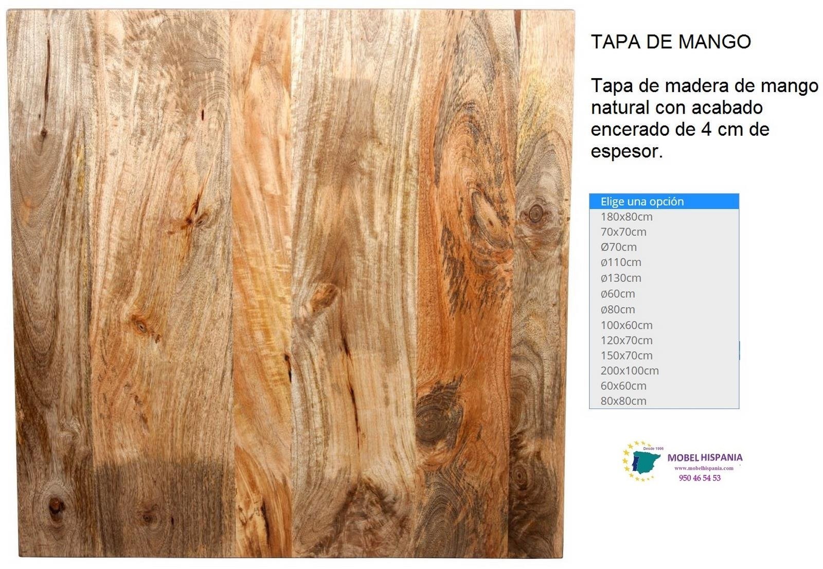 3023 mesa hierro transparente tapa mango 1 09