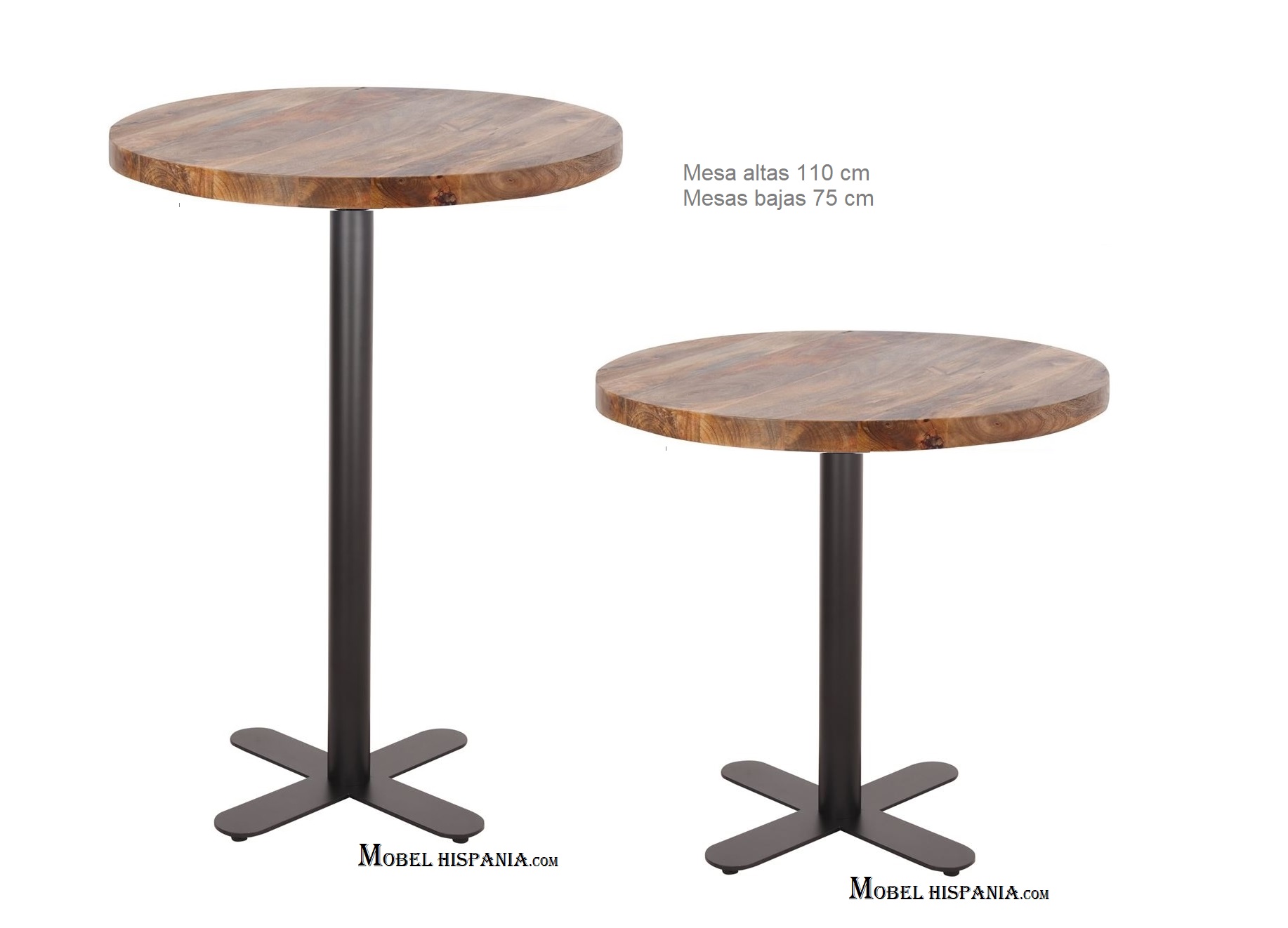 AUGUST pie alto 02 1