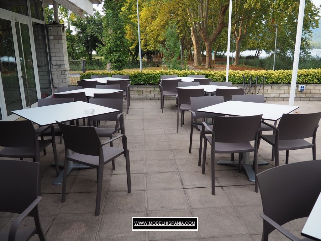 NEW-Fiona-chocolate-w_09-3 NEW Fiona chocolate w 09 3