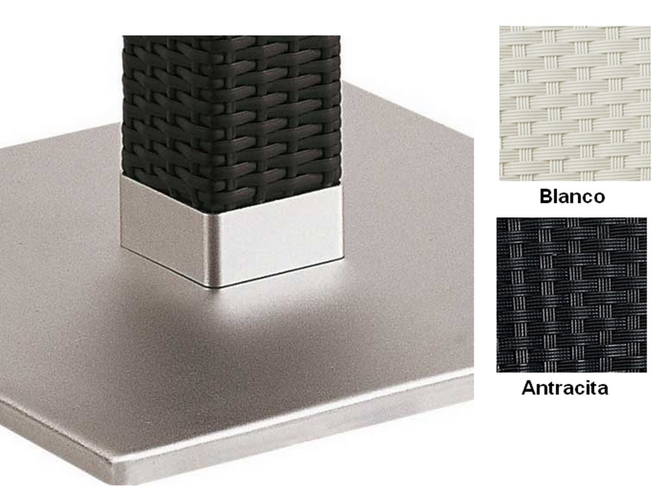 9811 pies doble medula2