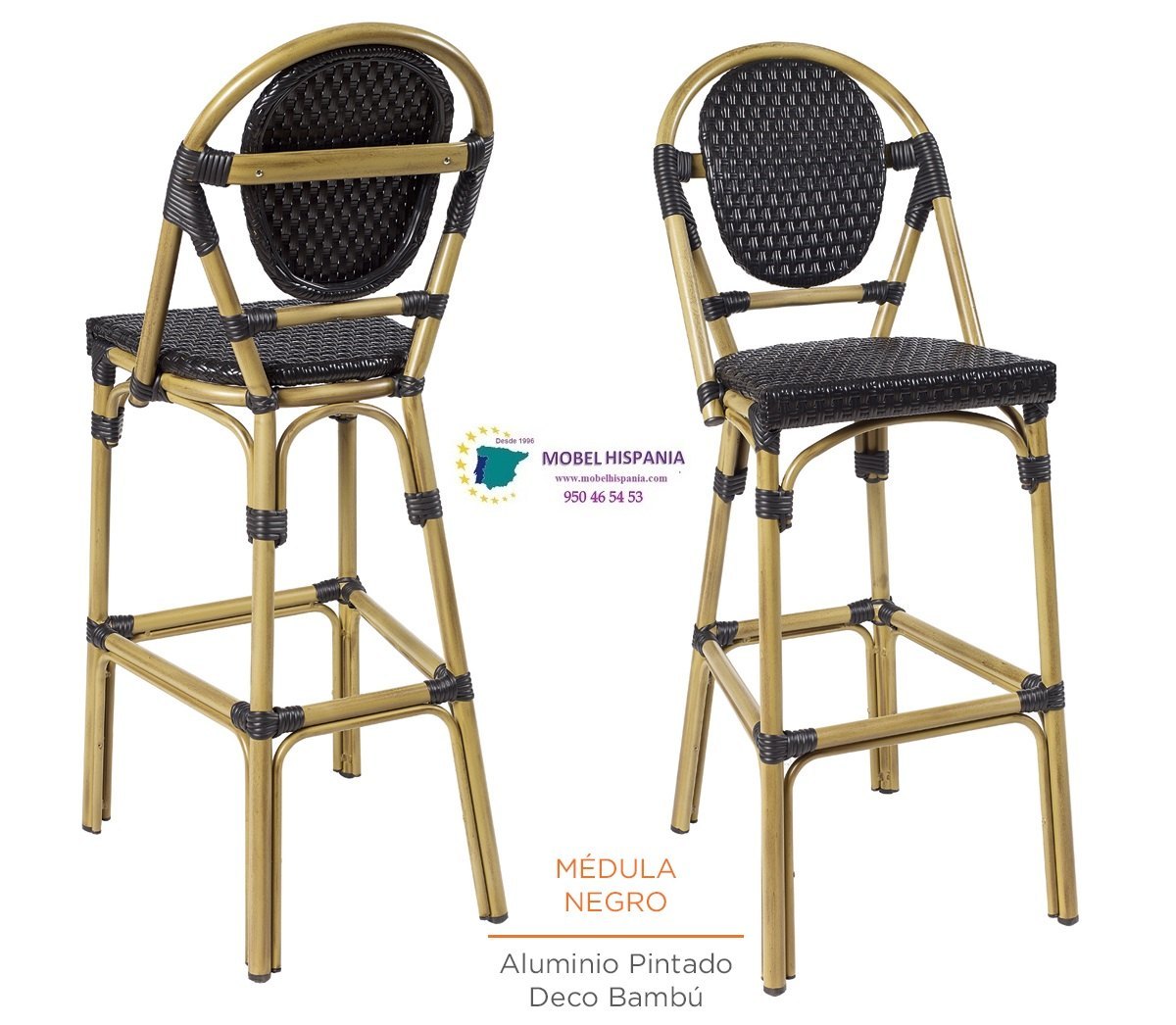 8232 Banqueta CR Medula Negra trasera 1