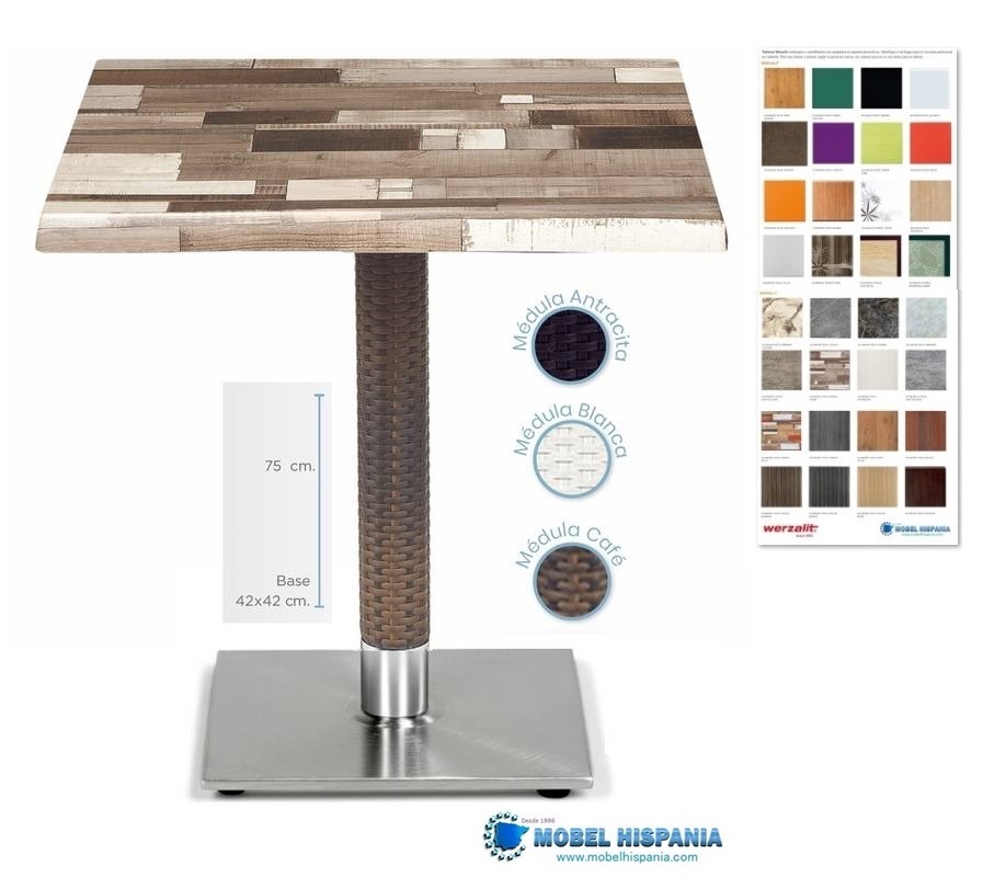 9555 mesa medula werzalit 1