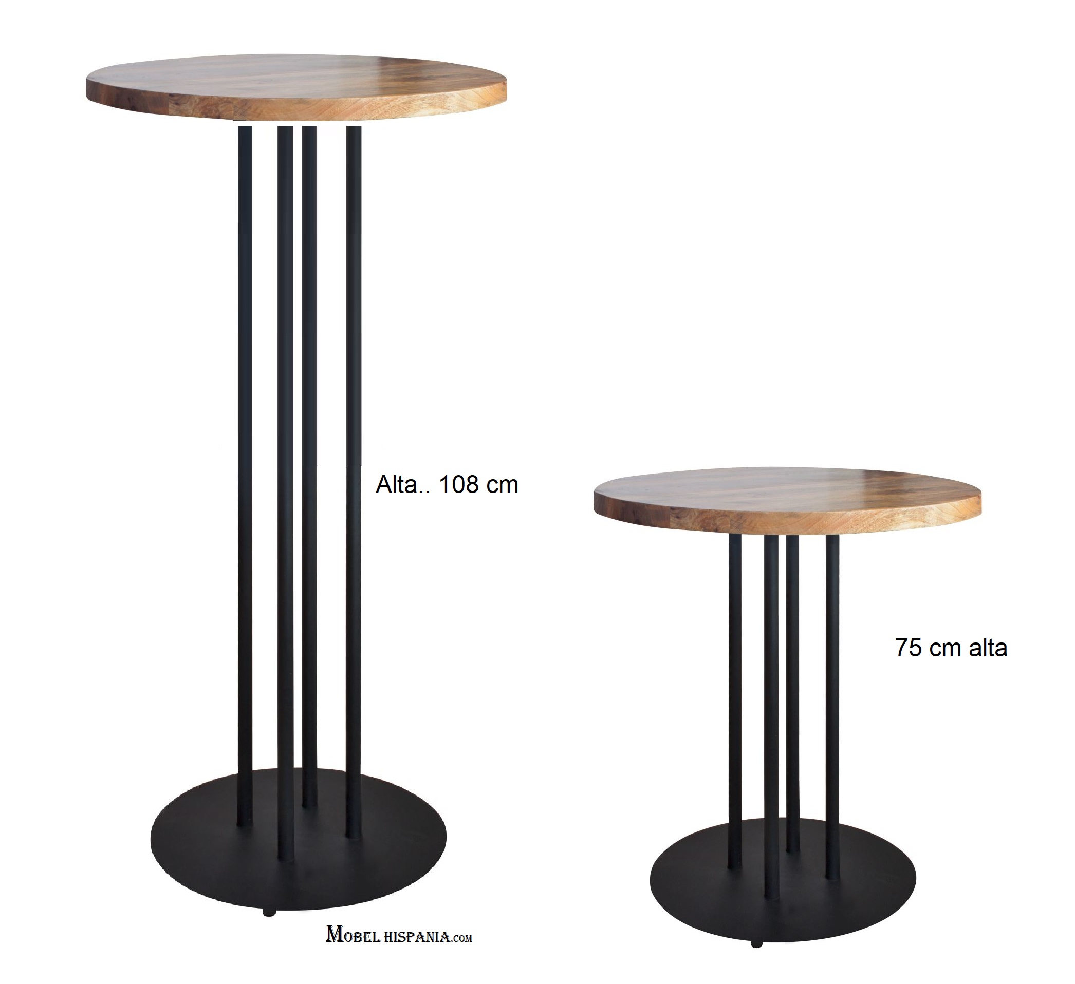 GINFIZZ alta mesa 01