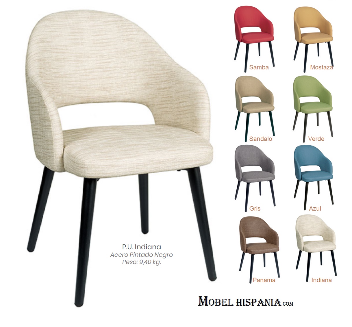 6029 Silla indiana 1