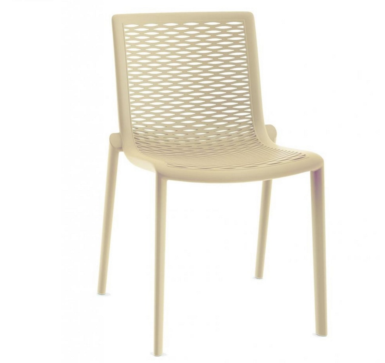 Netkat silla arena 01 2