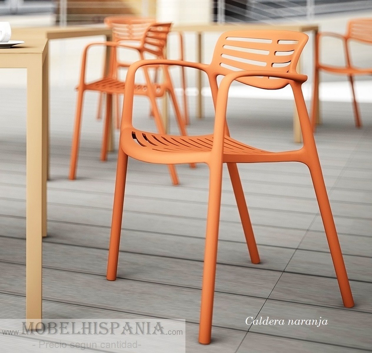 toledo plastico 11 3