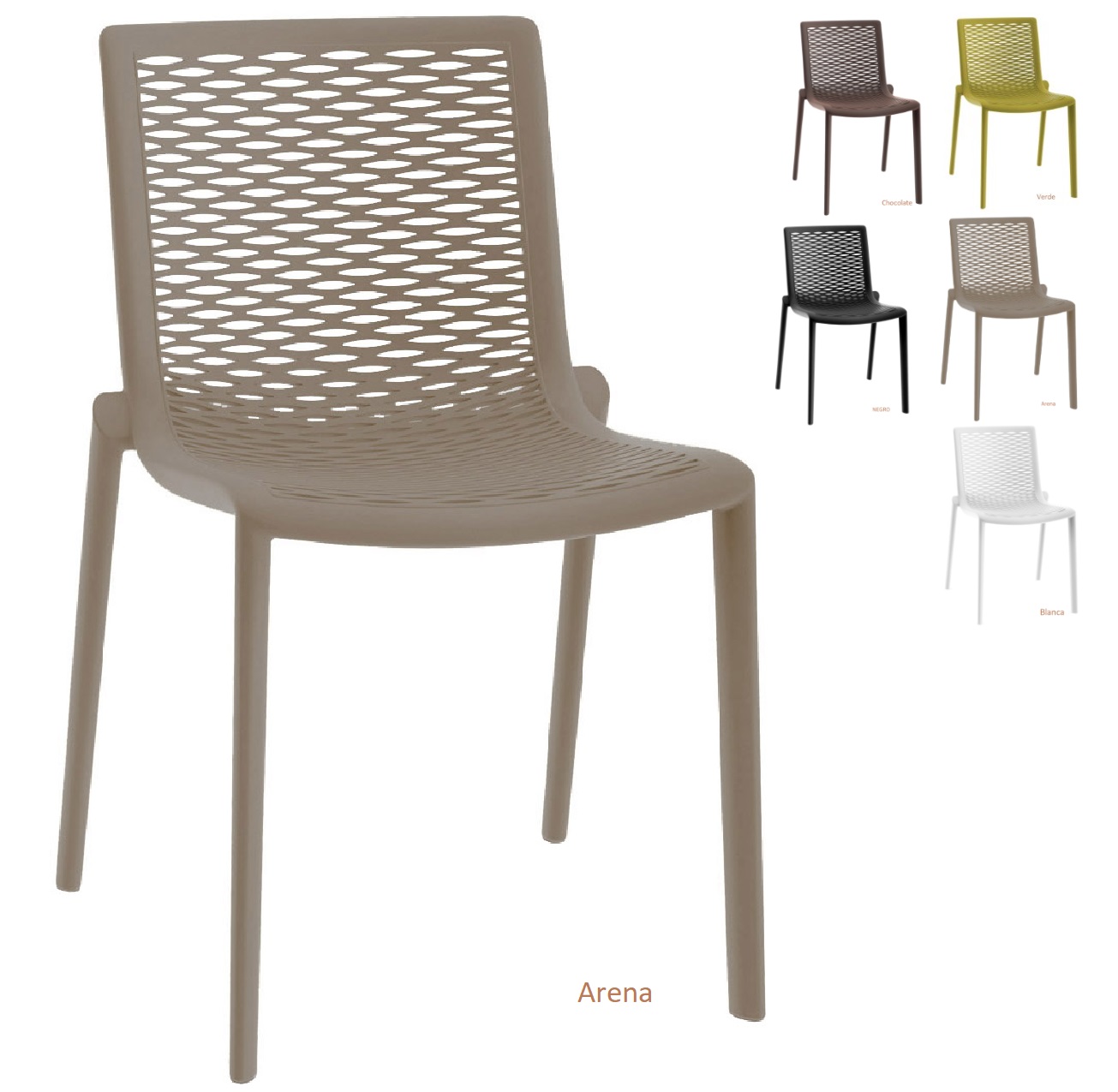 Netkat silla arena 2