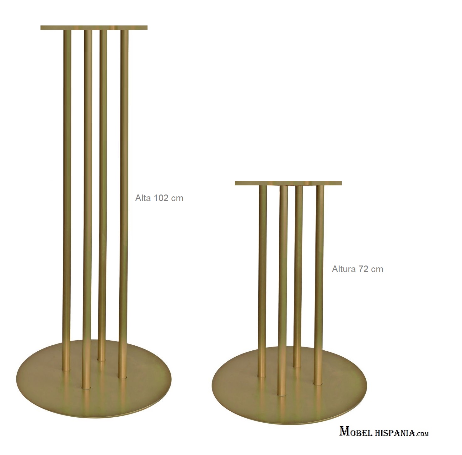 GINFIZZ-pie-dorado-72_02 GINFIZZ pie dorado 72 02