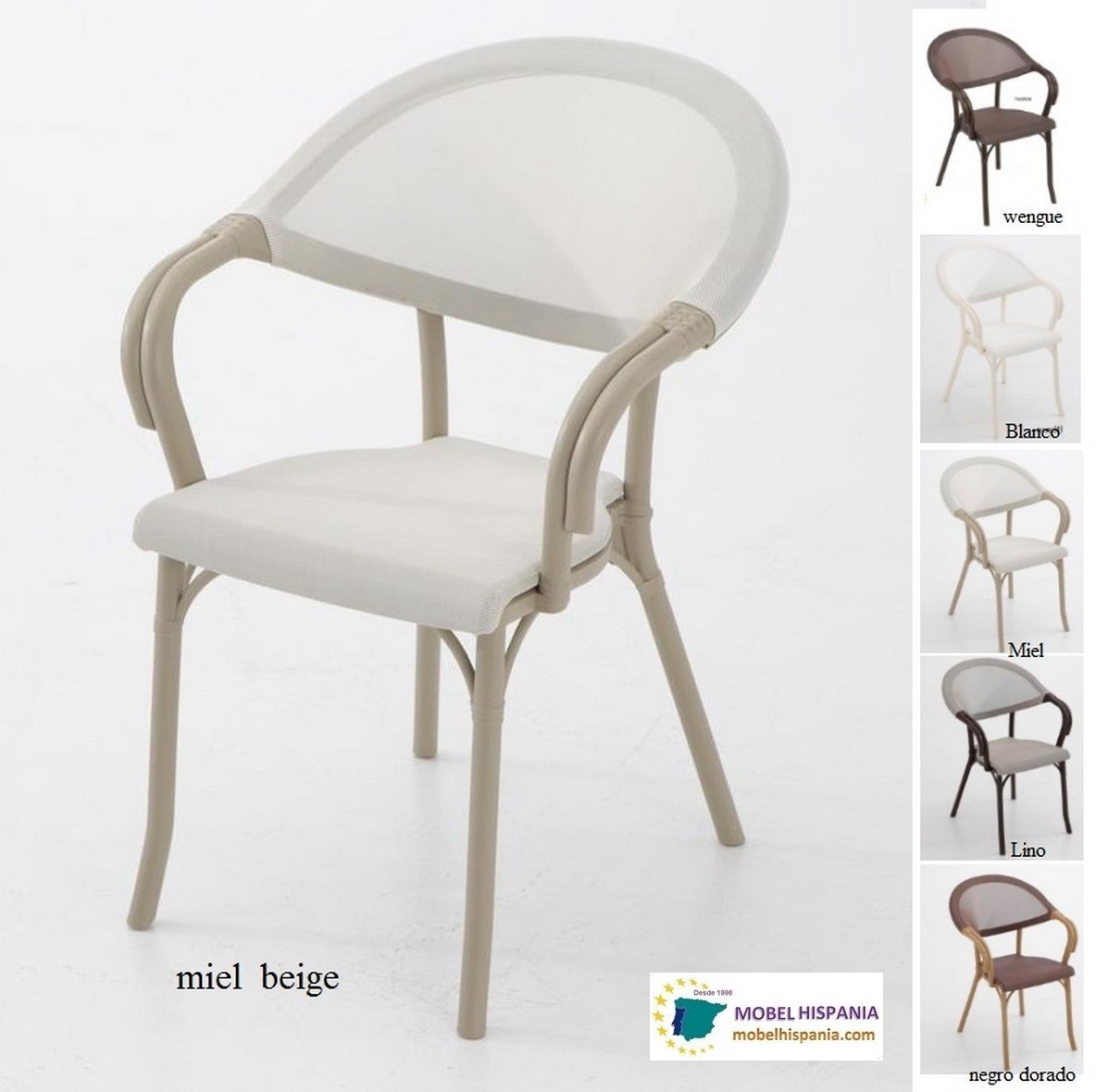 2127 sillon wengue 08 2