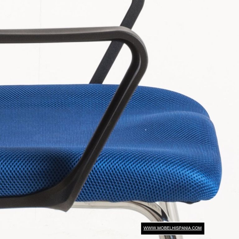 Lenk confidente w 05