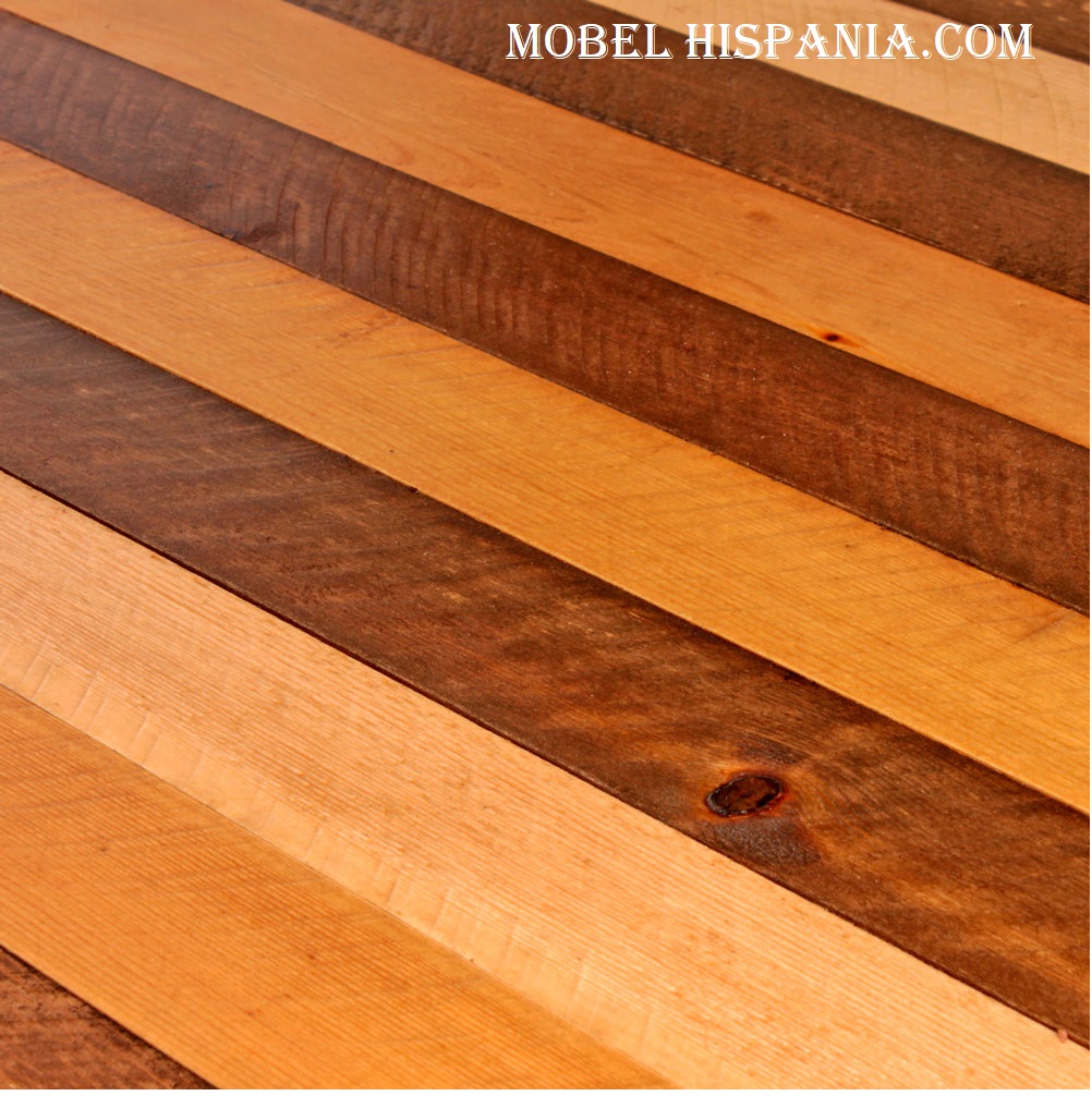 ZEBRA_mesa_01 ZEBRA mesa 01