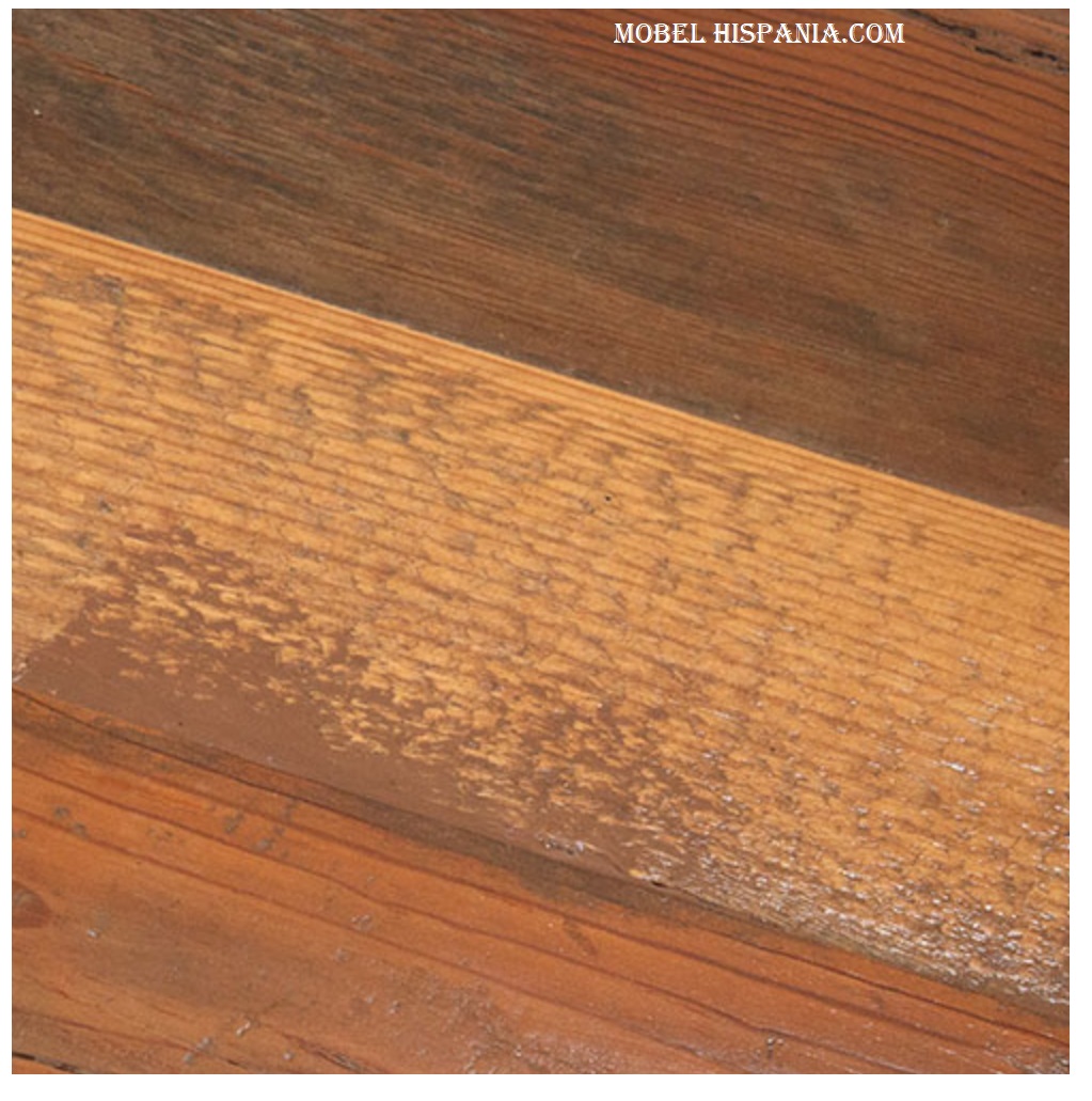 ISABELLA-Mesa_02 ISABELLA Mesa 02