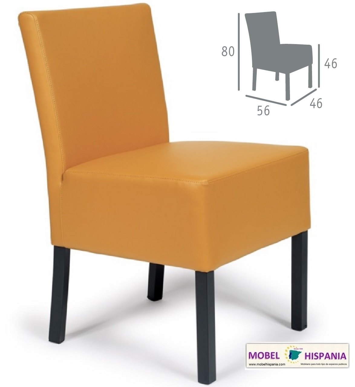 mozart albero grafito 01