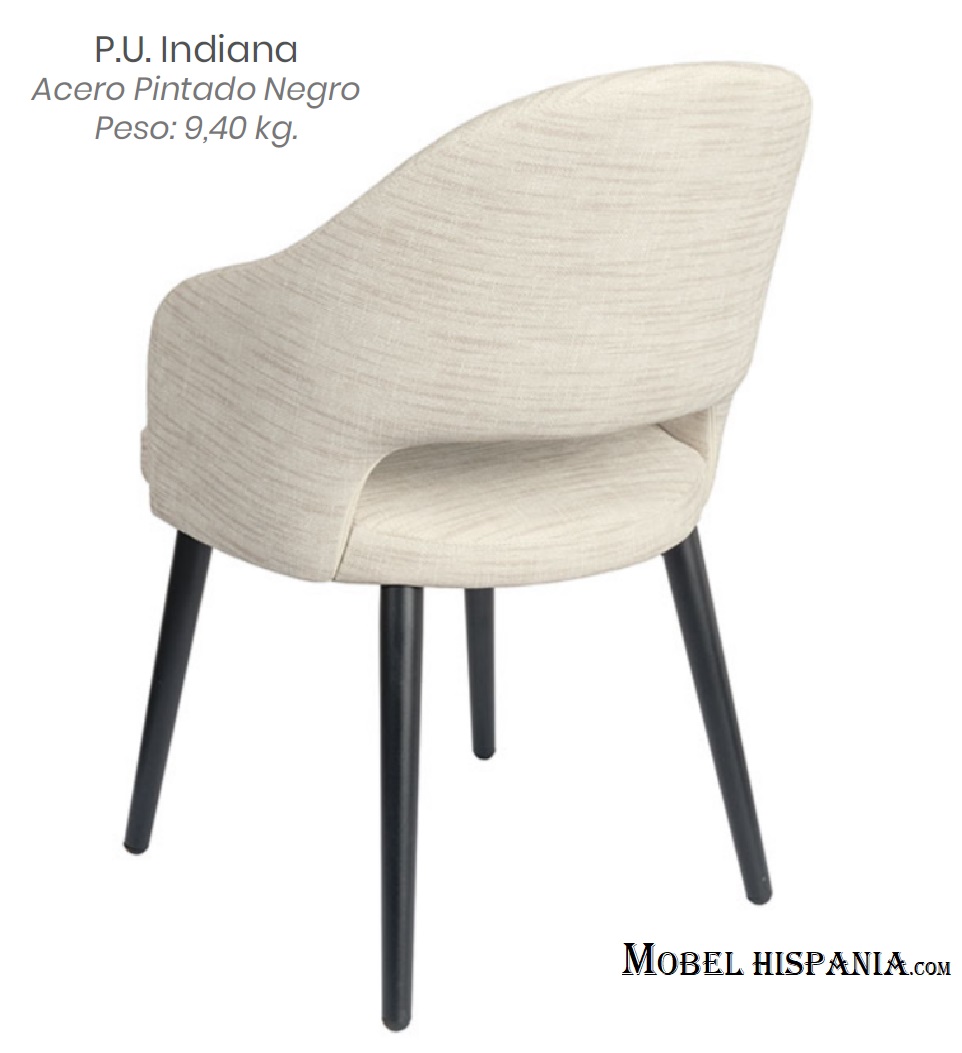 6029 Silla indiana 01 1