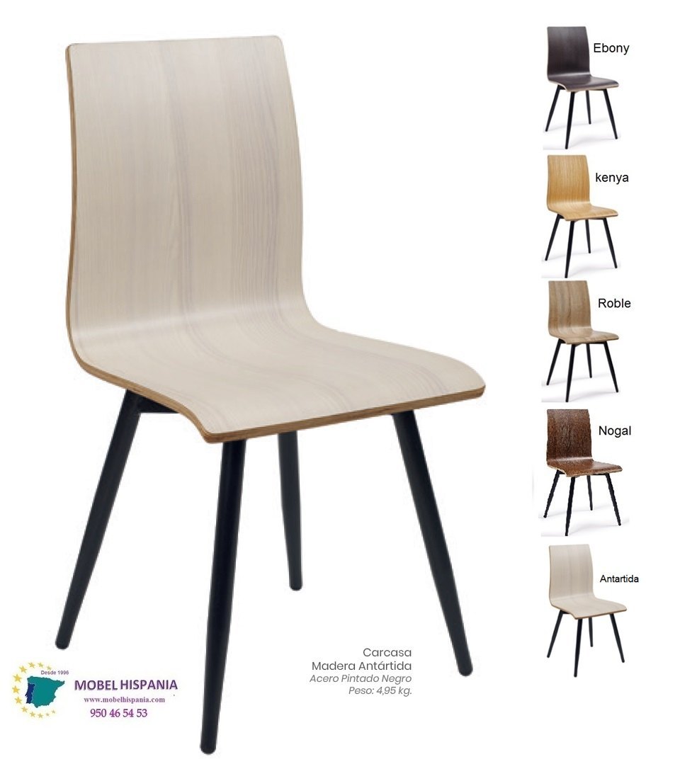 MICHIGAN silla p4 negro carcasa ebony 09 1