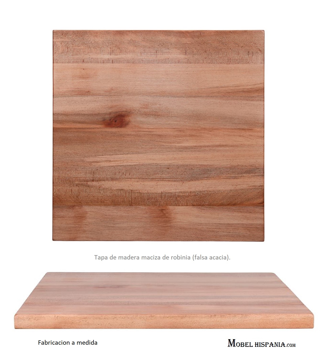 ROBINIA tapa falsa acacia madera 2