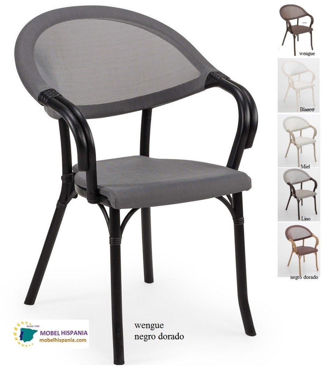 2127 sillon wengue 05 2