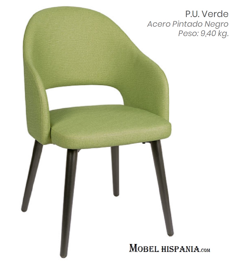 6029 Silla indiana 12 1