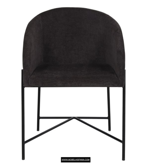 Petunia-graftio_01-2 Petunia graftio 01 2