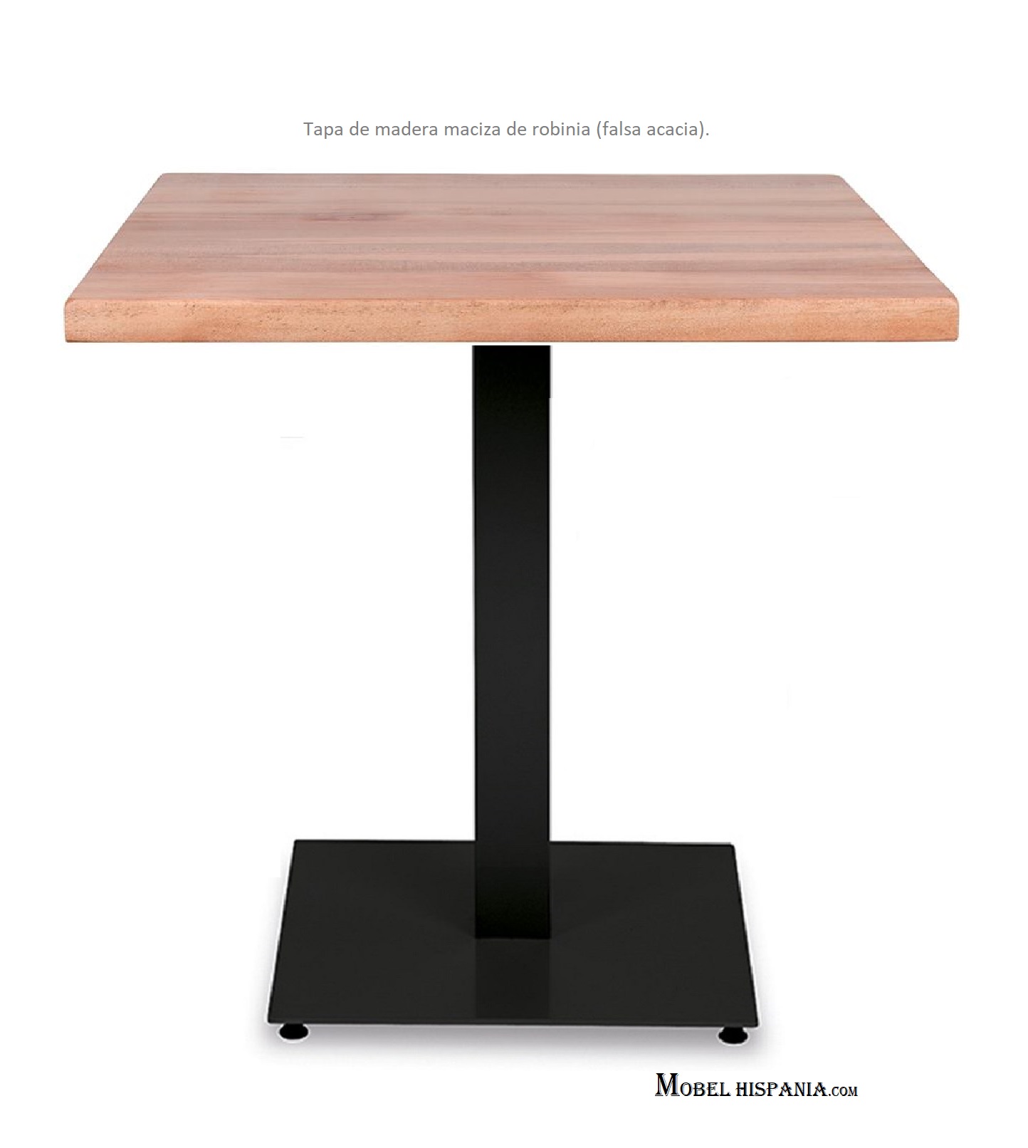 ROBINIA tapa falsa acacia madera 2 03