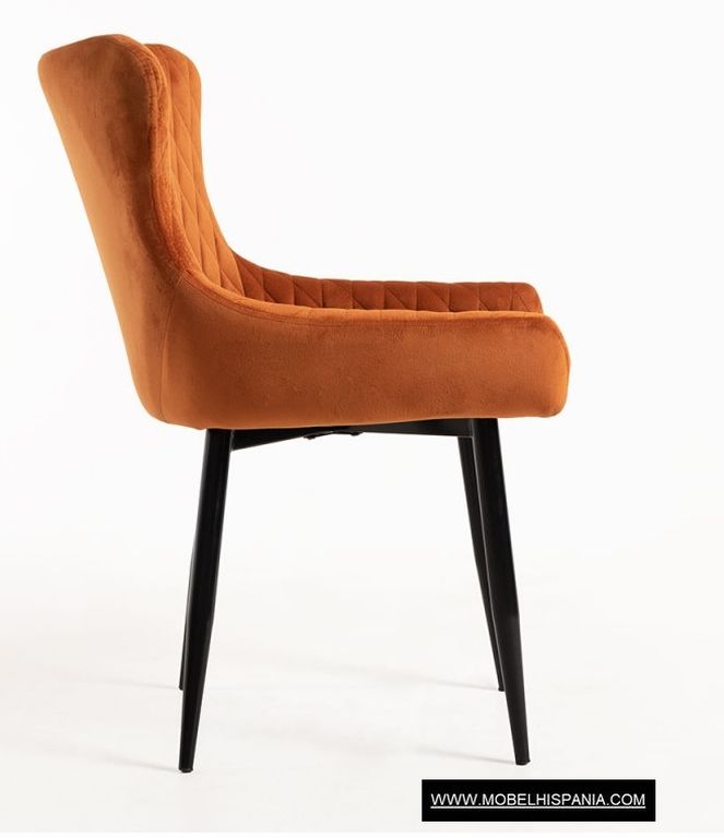 Dans Terciopelo naranja w 11