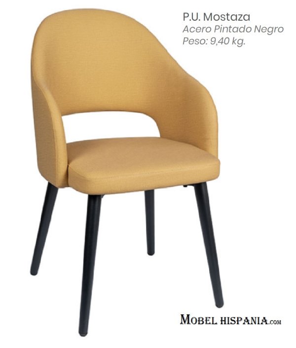 6029 Silla indiana 05 1