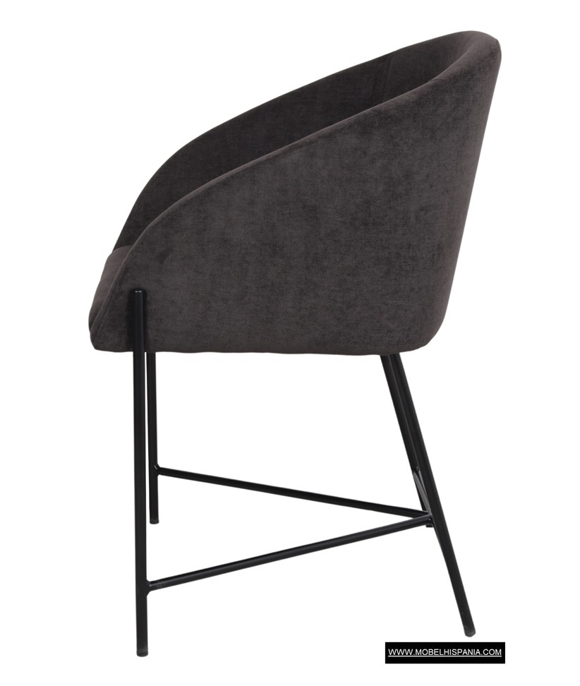 Petunia-graftio_02-2 Petunia graftio 02 2