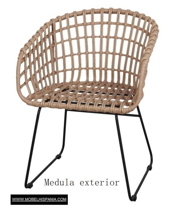 Brian medula sintetica 3