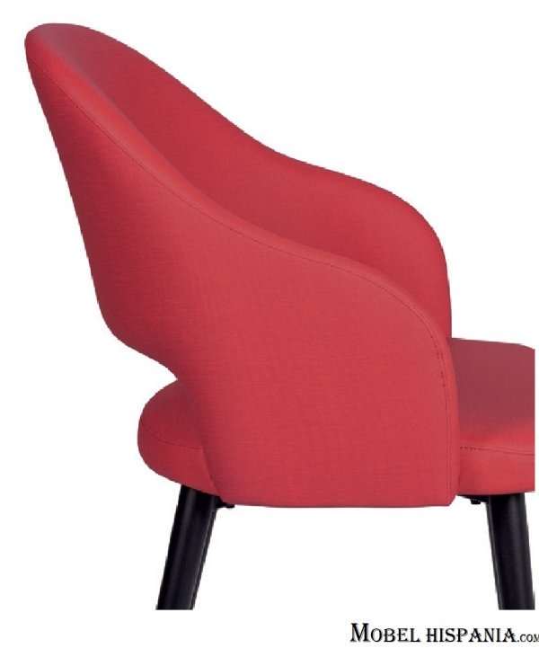 6029 Silla indiana 09 1