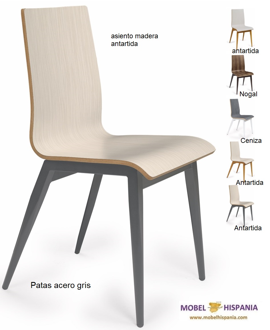 OREGON negro ast antartida 1