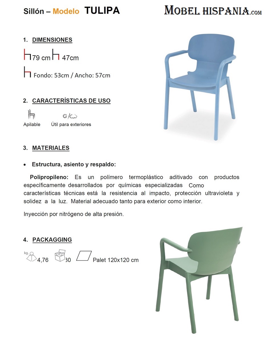 Tulipa sillon rosa 1 13