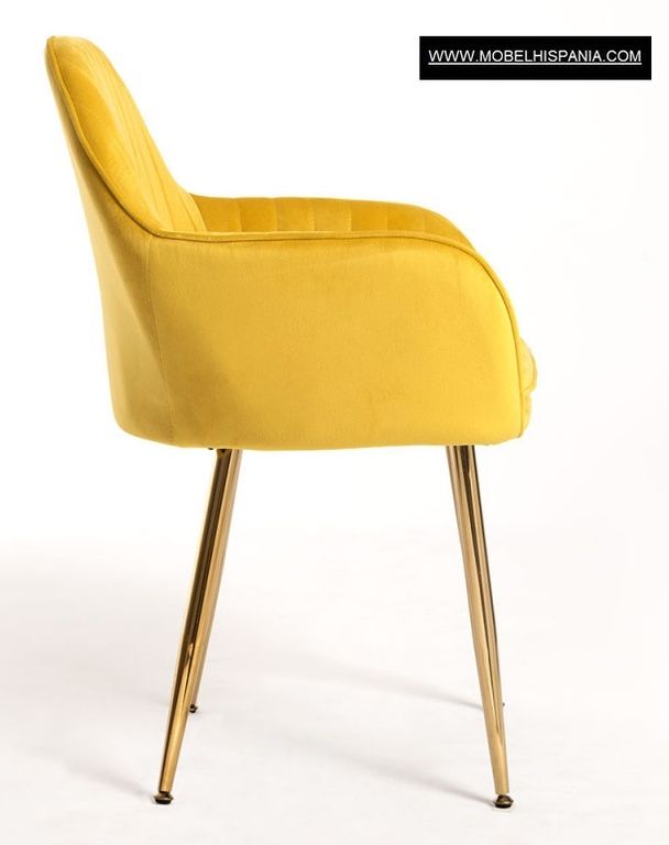 Reby Golden rosa w 16