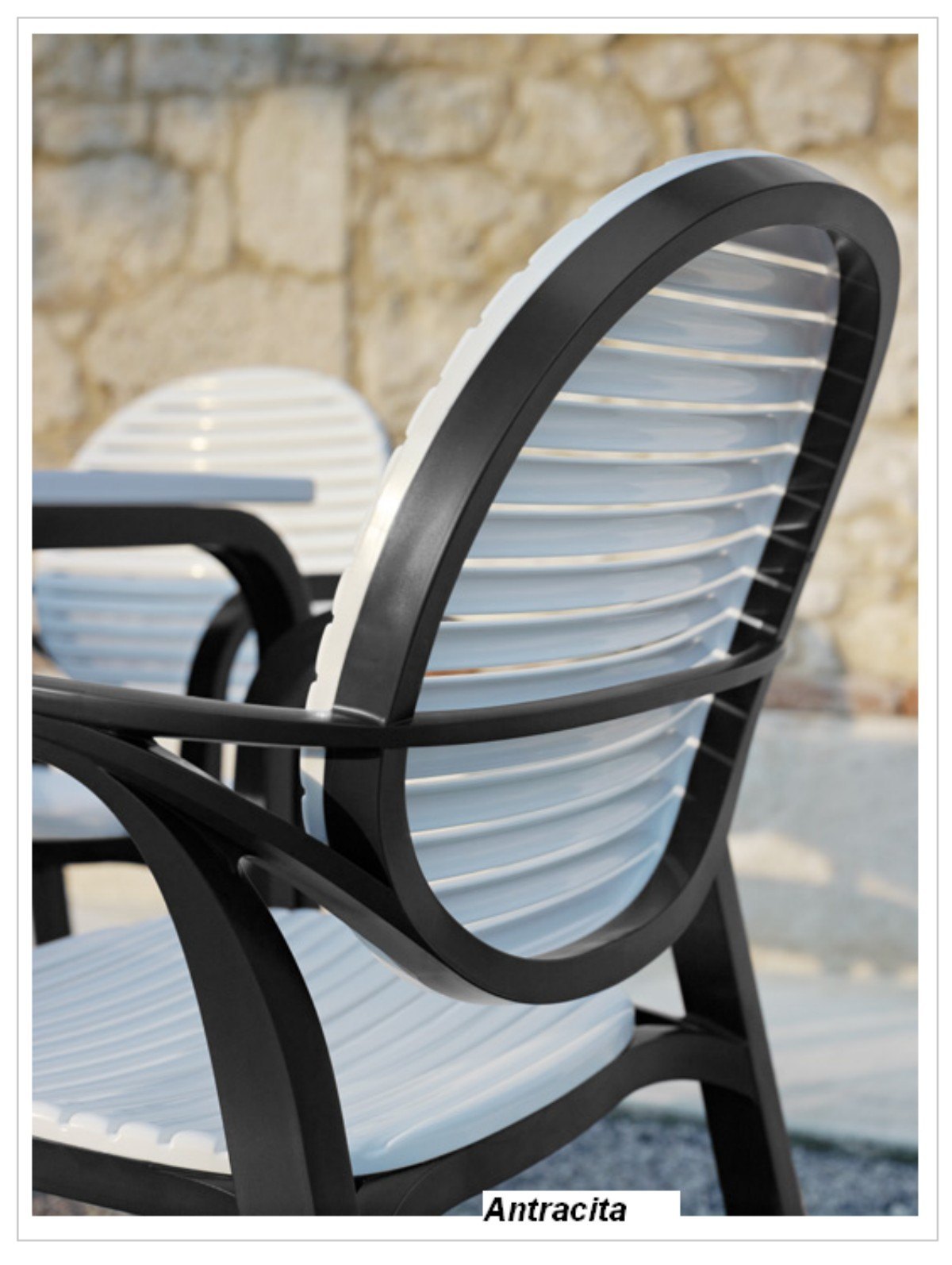 gardenia marron 10 1