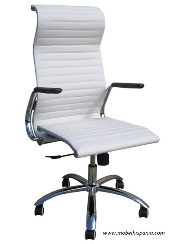 idaho sillon operativo direccio oficinas maya 04