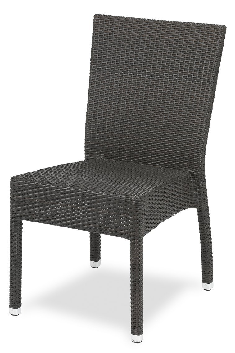 259 medula java 01 1