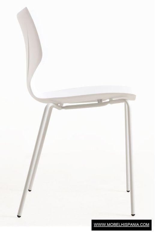 Ceply-amarillo-w_16-2 Ceply amarillo w 16 2