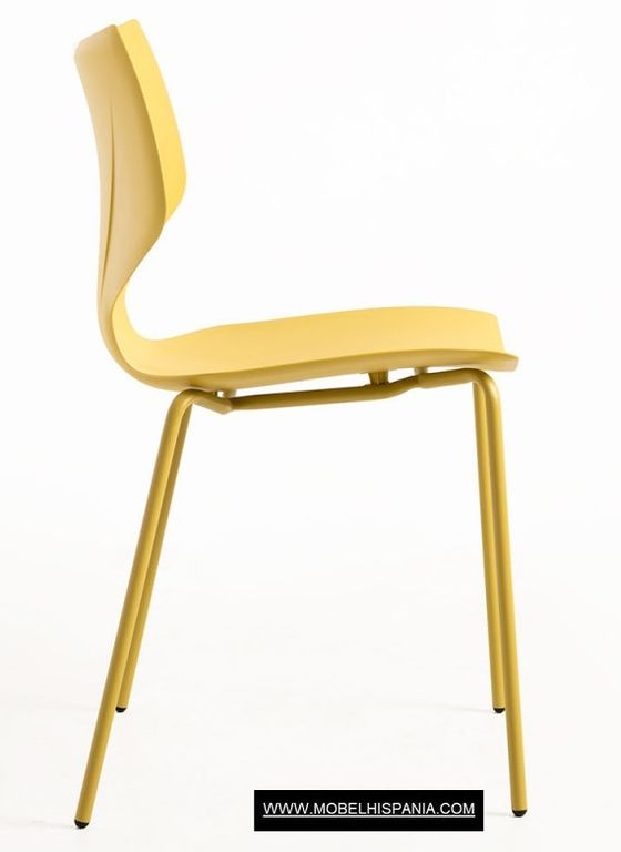 Ceply-amarillo-w_19-2 Ceply amarillo w 19 2