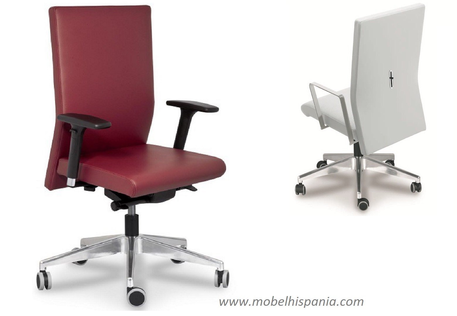 Cisne2-sillon-direccion-respaldo-medo-oficinas_01 Cisne2 sillon direccion respaldo medo oficinas 01