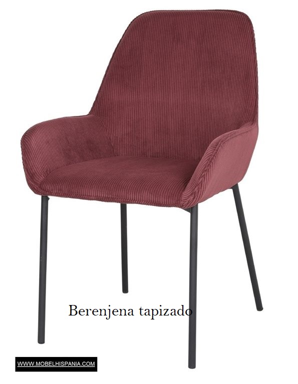 ABISI berenjena 1 01 2