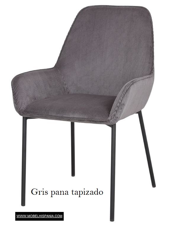 ABISI berenjena 1 02 2