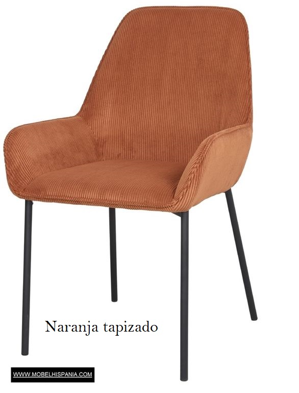 ABISI berenjena 1 03 2